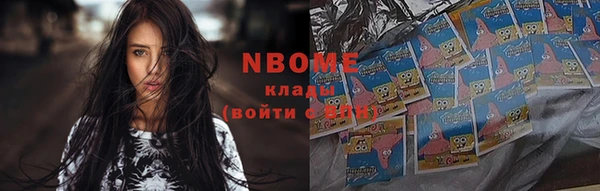 хмурый Тавда