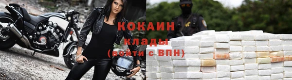 хмурый Тавда
