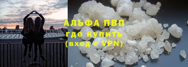 ПСИЛОЦИБИНОВЫЕ ГРИБЫ Сясьстрой