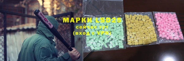 хмурый Тавда