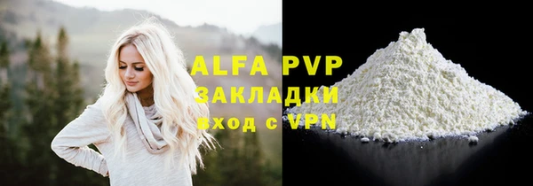 ПСИЛОЦИБИНОВЫЕ ГРИБЫ Сясьстрой