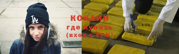 хмурый Тавда