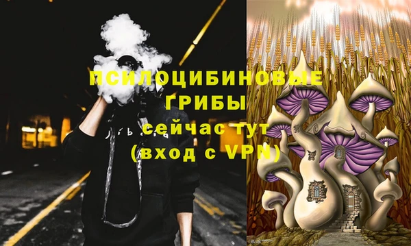 хмурый Тавда