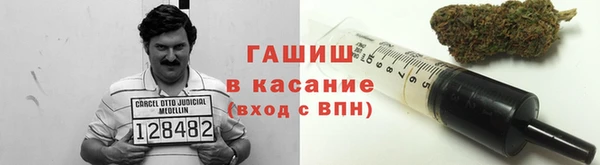 хмурый Тавда