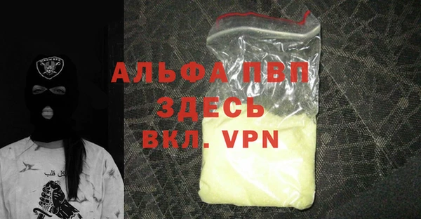 хмурый Тавда