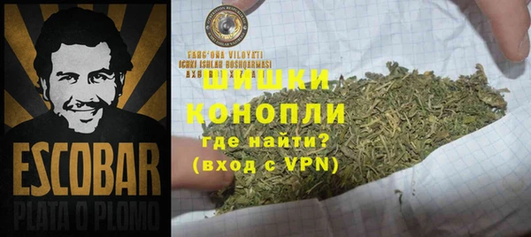 хмурый Тавда