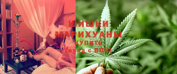 ПСИЛОЦИБИНОВЫЕ ГРИБЫ Сясьстрой