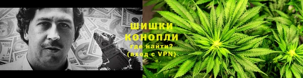 хмурый Тавда