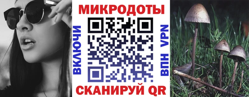 даркнет состав закладка Ярославль Галлюциногенные грибы мухоморы KRAKEN зеркало