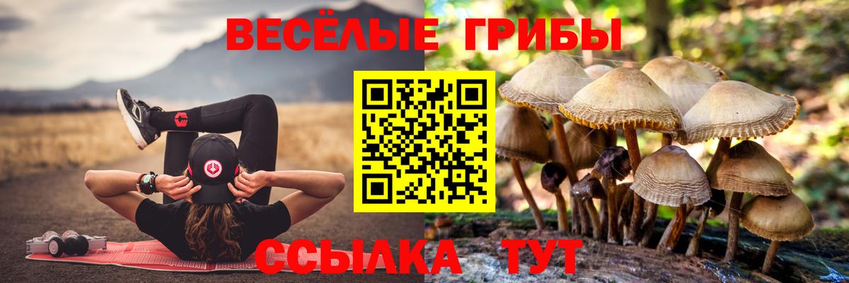 Ярославль  Галлюциногенные грибы ЛСД  Вход с VPN 